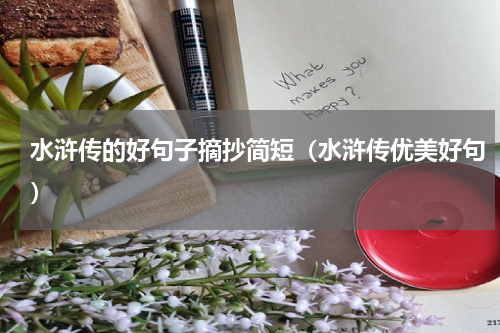 水浒传的好句子摘抄简短（水浒传优美好句）