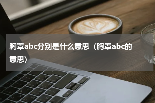 胸罩abc分别是什么意思（胸罩abc的意思）