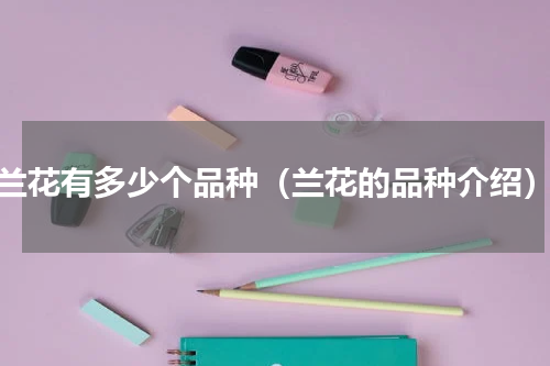 兰花有多少个品种（兰花的品种介绍）
