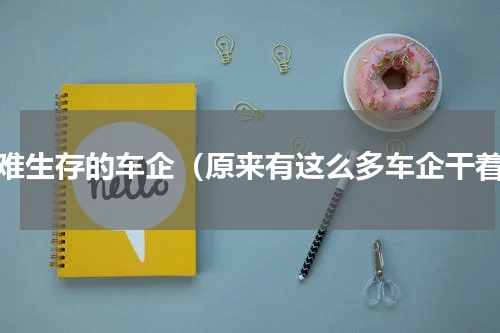最难生存的车企（原来有这么多车企干着）