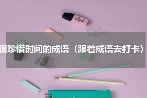 很珍惜时间的成语（跟着成语去打卡）