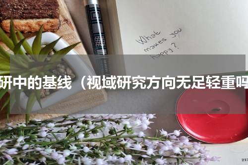 科研中的基线（视域研究方向无足轻重吗）