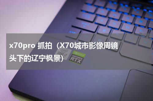 x70pro 抓拍（X70城市影像周镜头下的辽宁枫景）
