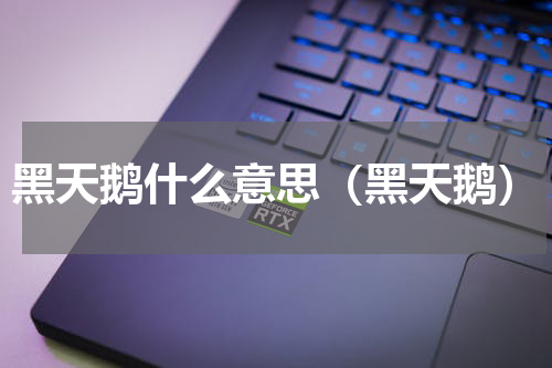 黑天鹅什么意思（黑天鹅）