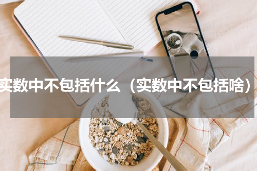 实数中不包括什么（实数中不包括啥）