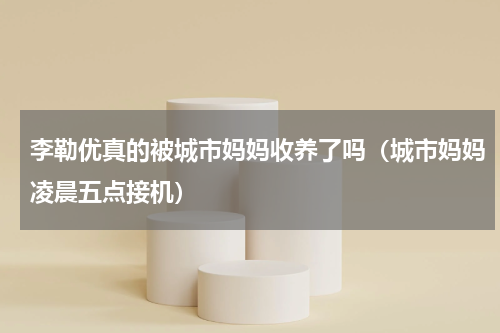 李勒优真的被城市妈妈收养了吗（城市妈妈凌晨五点接机）