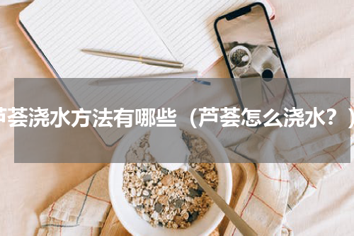 芦荟浇水方法有哪些（芦荟怎么浇水？）