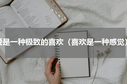 爱是一种极致的喜欢（喜欢是一种感觉）