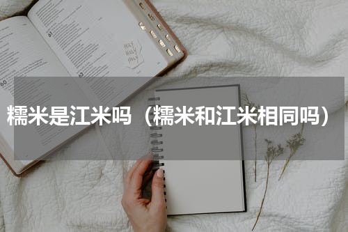 糯米是江米吗（糯米和江米相同吗）