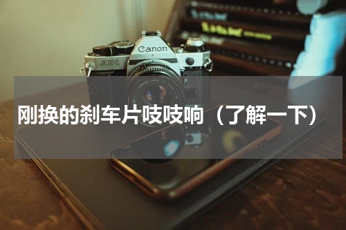 刚换的刹车片吱吱响（了解一下）
