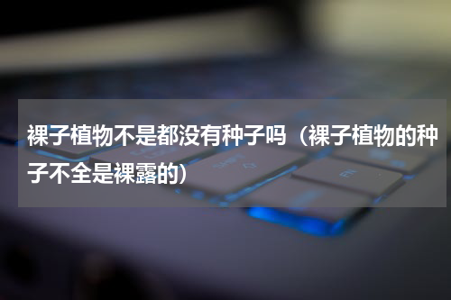 裸子植物不是都没有种子吗（裸子植物的种子不全是裸露的）