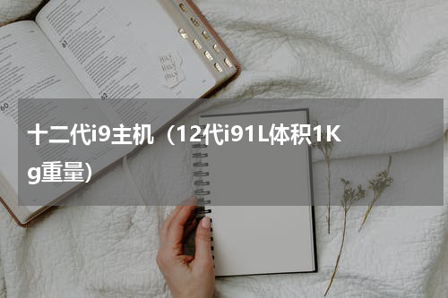 十二代i9主机（12代i91L体积1Kg重量）