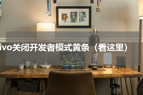 vivo关闭开发者模式黄条（看这里）
