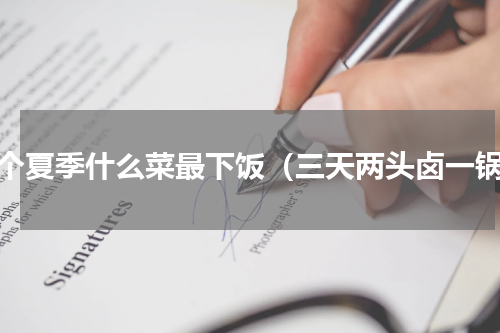 这个夏季什么菜最下饭（三天两头卤一锅）
