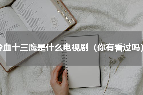 冷血十三鹰是什么电视剧（你有看过吗）