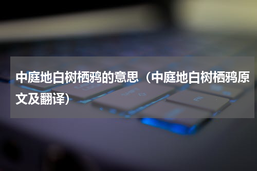 中庭地白树栖鸦的意思（中庭地白树栖鸦原文及翻译）
