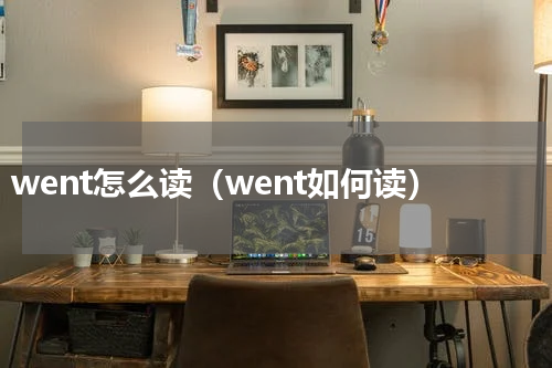 went怎么读（went如何读）