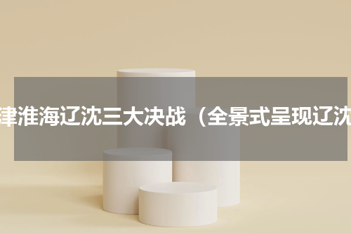 平津淮海辽沈三大决战（全景式呈现辽沈）