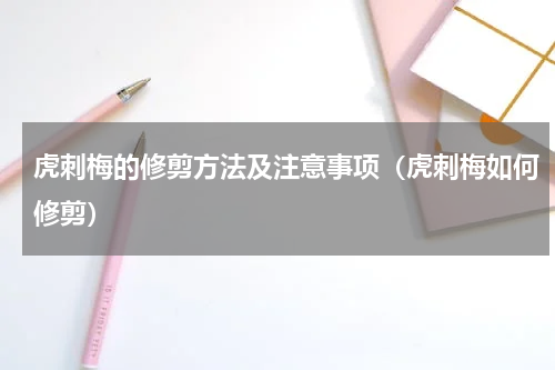 虎刺梅的修剪方法及注意事项（虎刺梅如何修剪）