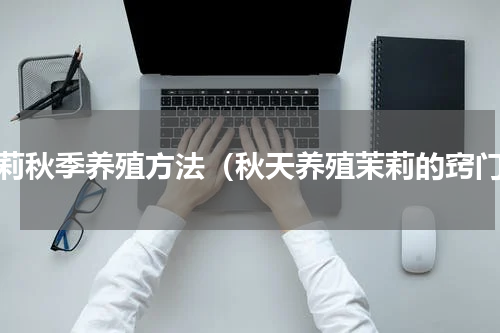 茉莉秋季养殖方法（秋天养殖茉莉的窍门）