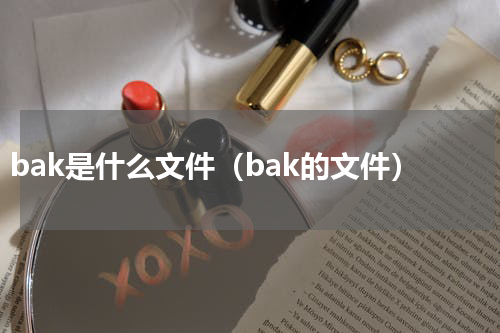 bak是什么文件（bak的文件）