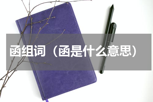 函组词（函是什么意思）