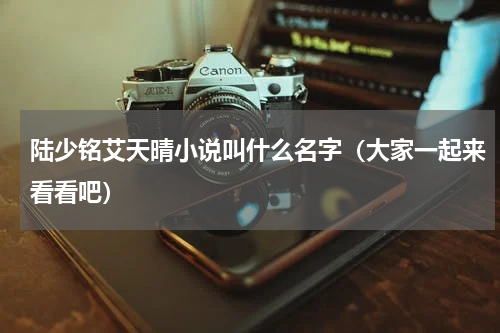 陆少铭艾天晴小说叫什么名字（大家一起来看看吧）