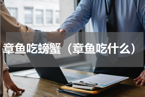章鱼吃螃蟹（章鱼吃什么）
