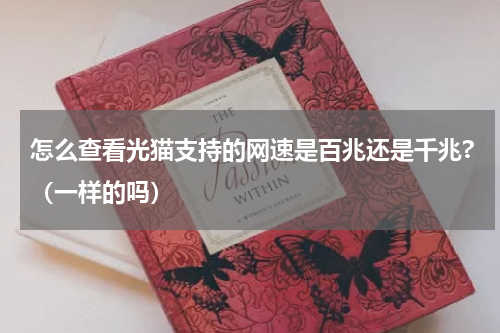 怎么查看光猫支持的网速是百兆还是千兆?（一样的吗）