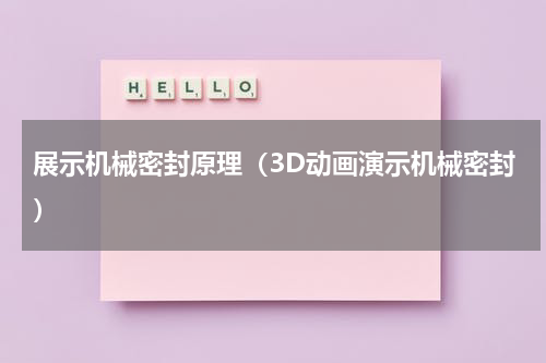 展示机械密封原理（3D动画演示机械密封）