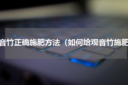 观音竹正确施肥方法（如何给观音竹施肥）