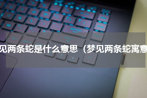 梦见两条蛇是什么意思（梦见两条蛇寓意）