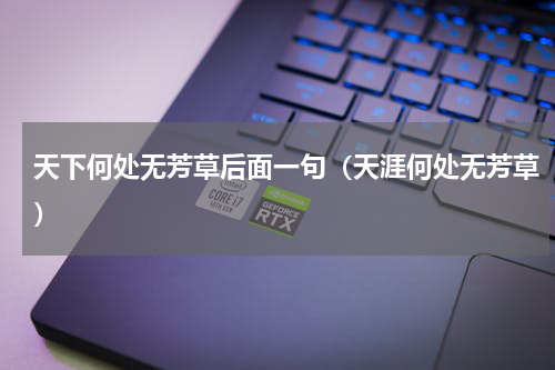 天下何处无芳草后面一句（天涯何处无芳草）