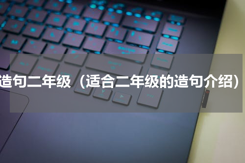 造句二年级（适合二年级的造句介绍）
