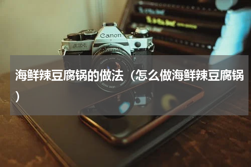 海鲜辣豆腐锅的做法（怎么做海鲜辣豆腐锅）