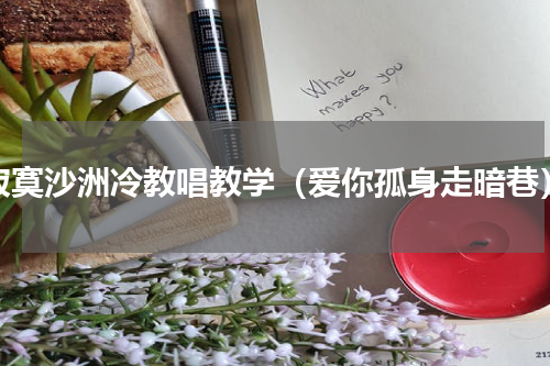 寂寞沙洲冷教唱教学（爱你孤身走暗巷）