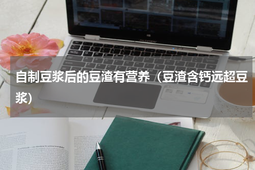 自制豆浆后的豆渣有营养（豆渣含钙远超豆浆）