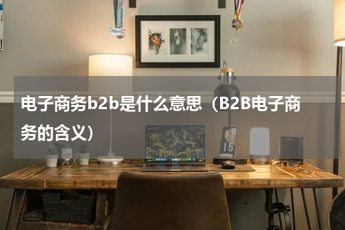 电子商务b2b是什么意思（B2B电子商务的含义）