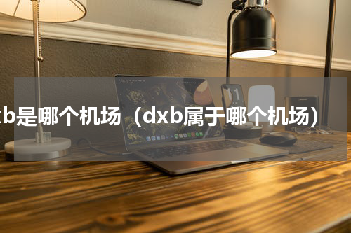 dxb是哪个机场（dxb属于哪个机场）