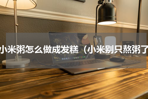 剩小米粥怎么做成发糕（小米别只熬粥了）