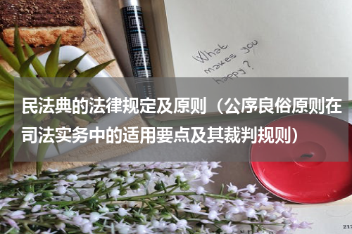 民法典的法律规定及原则（公序良俗原则在司法实务中的适用要点及其裁判规则）