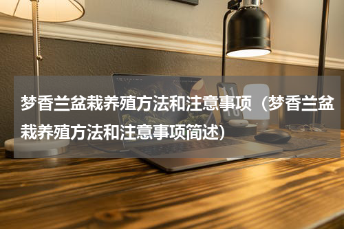 梦香兰盆栽养殖方法和注意事项（梦香兰盆栽养殖方法和注意事项简述）