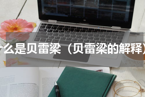 什么是贝雷梁（贝雷梁的解释）