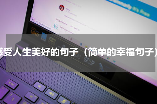 感受人生美好的句子（简单的幸福句子）