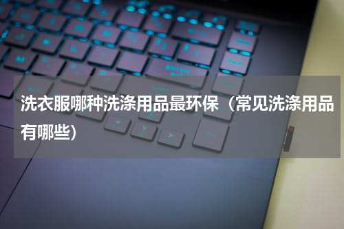洗衣服哪种洗涤用品最环保（常见洗涤用品有哪些）