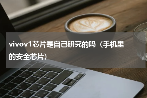vivov1芯片是自己研究的吗（手机里的安全芯片）
