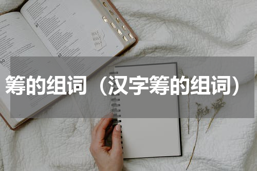 筹的组词（汉字筹的组词）