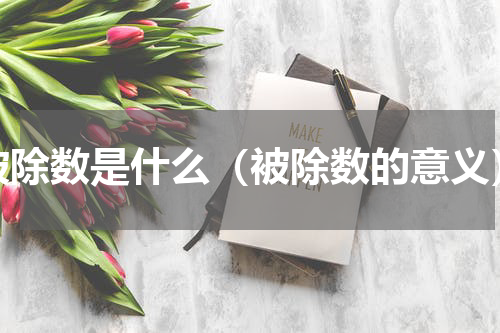 被除数是什么（被除数的意义）