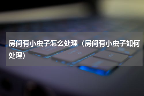 房间有小虫子怎么处理（房间有小虫子如何处理）
