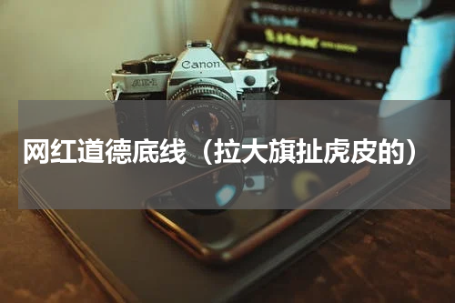网红道德底线（拉大旗扯虎皮的）